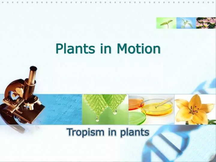 plants in motion