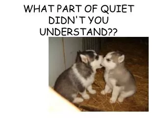 WHAT PART OF QUIET DIDN'T YOU UNDERSTAND??