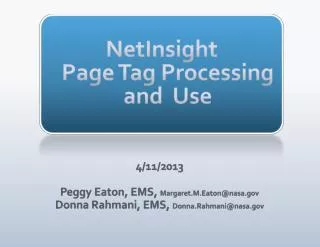 NetInsight Page Tag Processing and Use