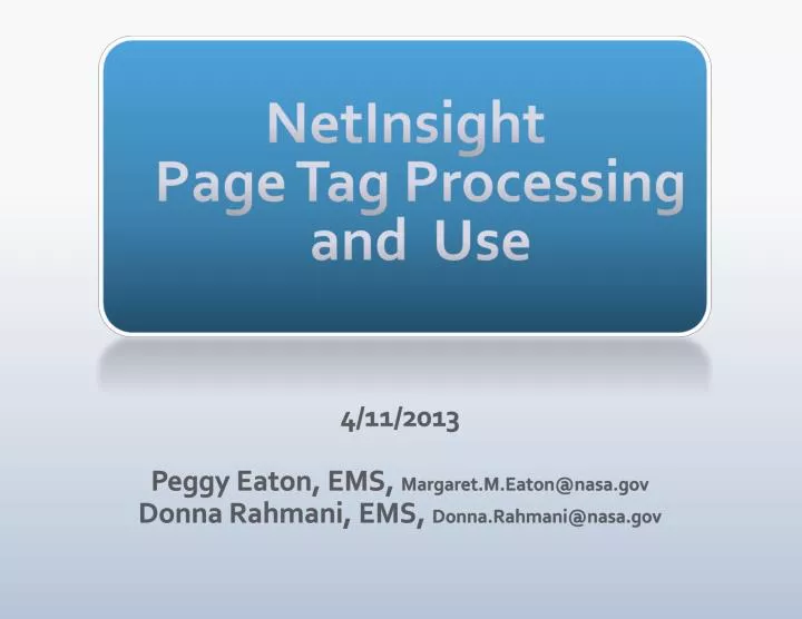 netinsight page tag processing and use