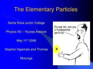 The Elementary Particles