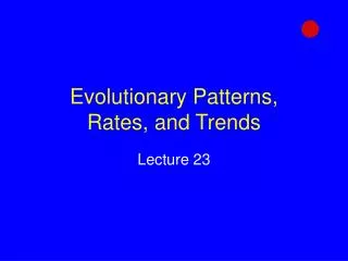 Evolutionary Patterns, Rates, and Trends