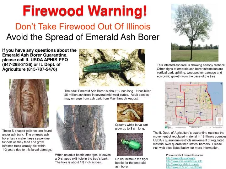 firewood warning