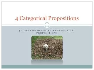 4 Categorical Propositions