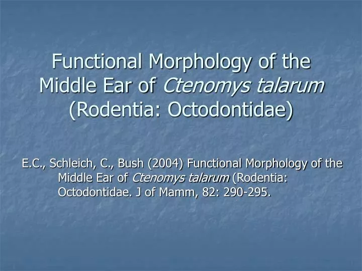 functional morphology of the middle ear of ctenomys talarum rodentia octodontidae