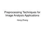 Preprocessing Techniques for Image Analysis Applications - slide 1