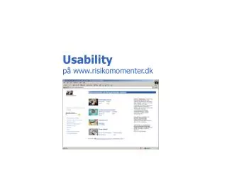 usability p www risikomomenter dk