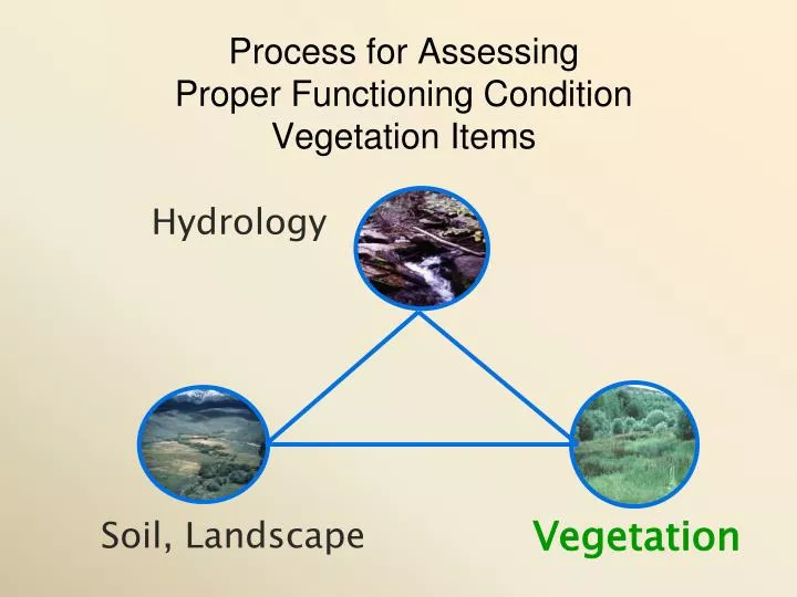 process for assessing proper functioning condition vegetation items