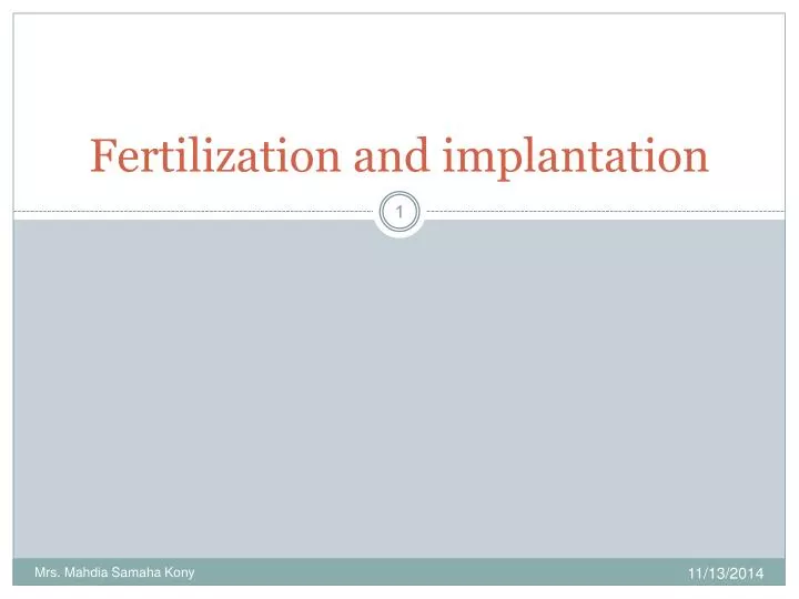 fertilization and implantation