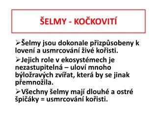 elmy ko kovit