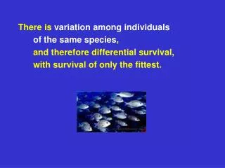 There is variation among individuals 	of the same species ,