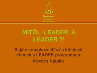 mit l leader a leader