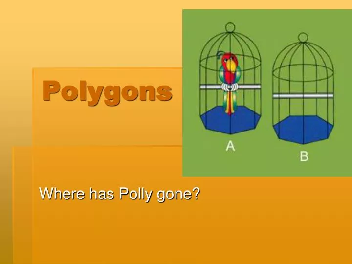 polygons