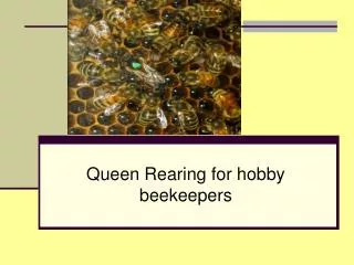 Queen Rearing for hobby beekeepers