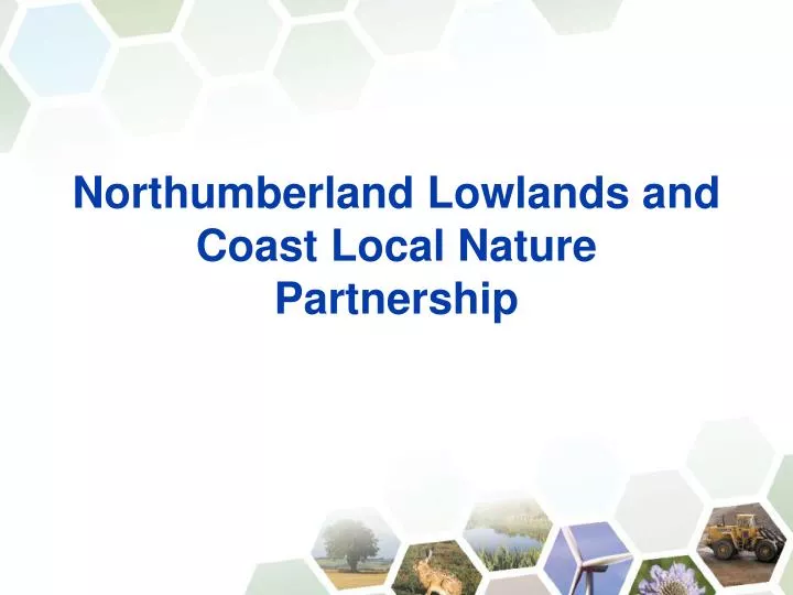 northumberland lowlands and coast local nature partnership