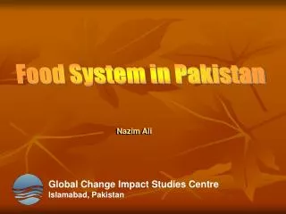 Food System in Pakistan
