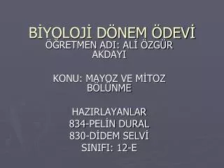 b yoloj d nem dev