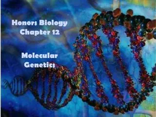 Honors Biology Chapter 12 Molecular Genetics
