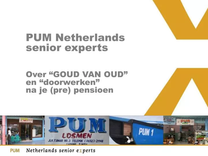 pum netherlands senior experts over goud van oud en d oorwerken na je pre pensioen