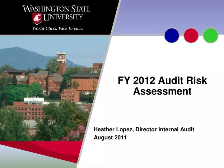 fy 2012 audit risk assessment