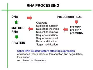 RNA PROCESSING