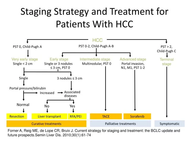 staging strategy and treatment for patients with hcc