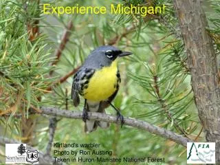 Experience Michigan!
