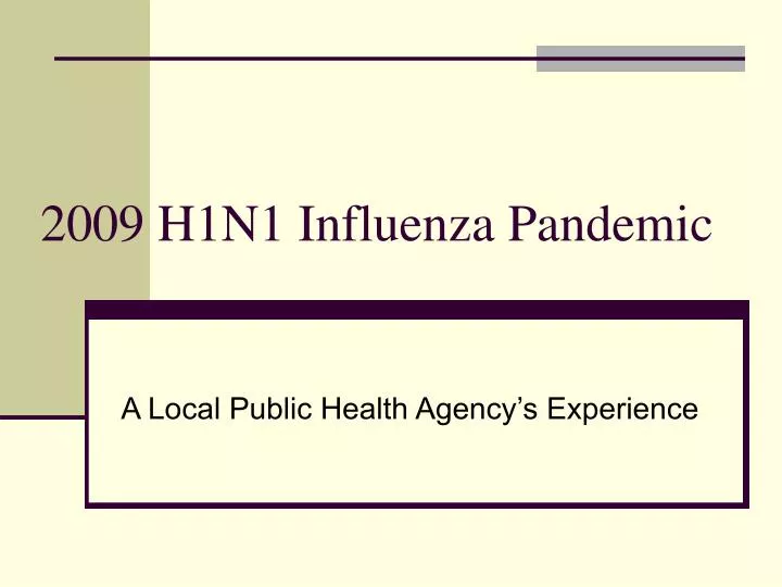 2009 h1n1 influenza pandemic