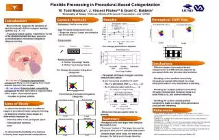 Flexible Processing in Procedural-Based Categorization