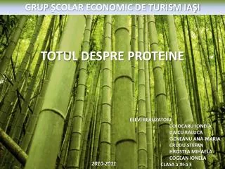 totul despre proteine