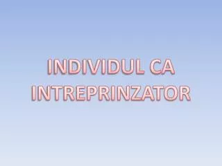 individul ca intreprinzator