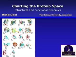 Charting the Protein Space Structural and Functional Genomics