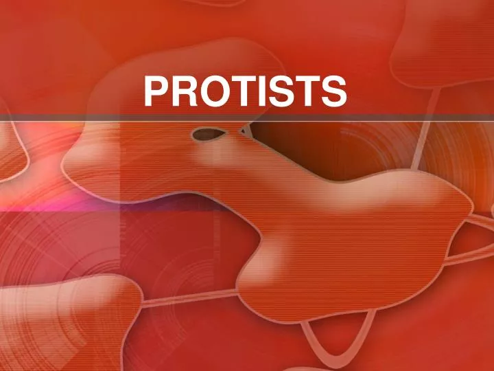 protists