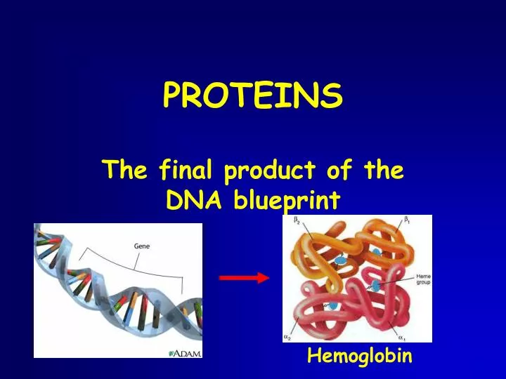 proteins