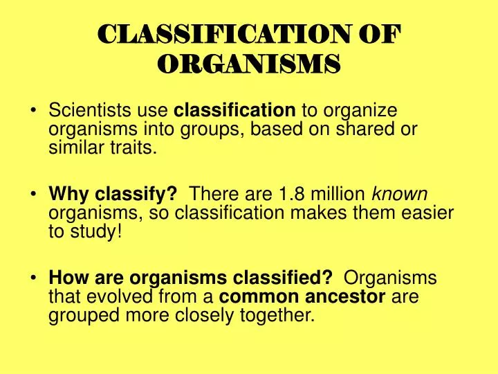 classification of organisms