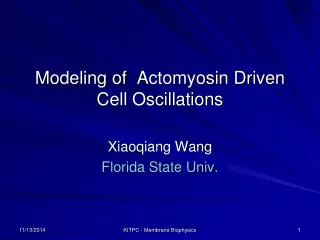 Modeling of Actomyosin Driven Cell Oscillations