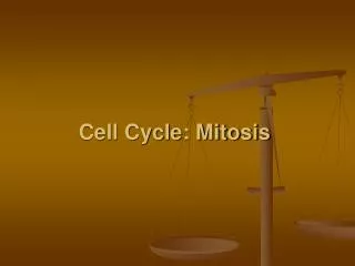 Cell Cycle: Mitosis