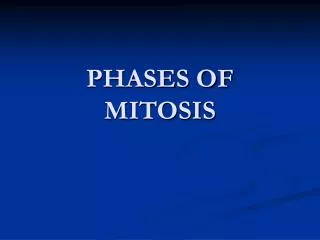 PHASES OF MITOSIS