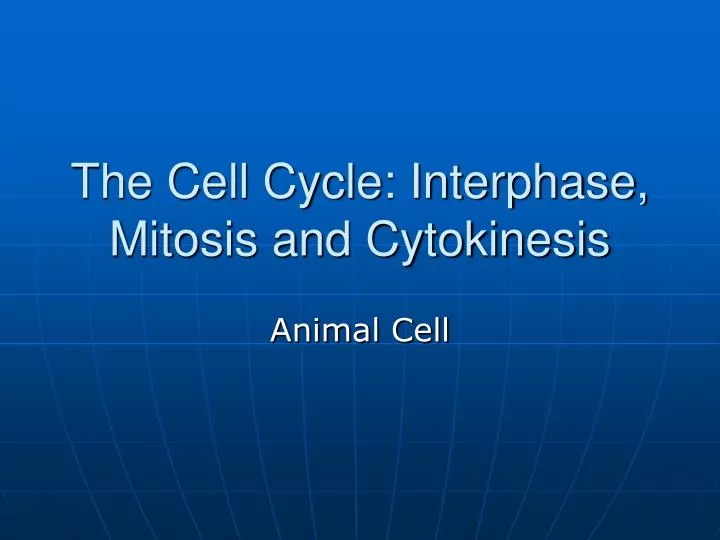 the cell cycle interphase mitosis and cytokinesis