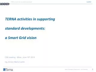 TERNA activities in supporting standard developments: a Smart Grid vision