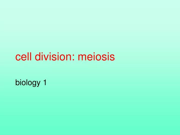 cell division meiosis