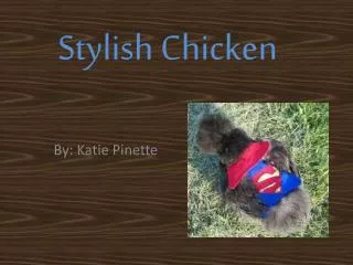 Stylish Chicken