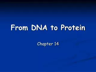 From DNA to Protein