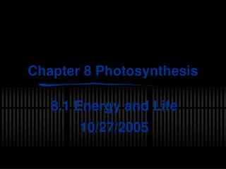 Chapter 8 Photosynthesis