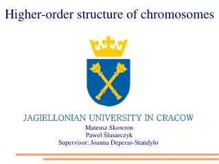 Higher-order structure of chromosomes