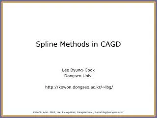 Spline Methods in CAGD
