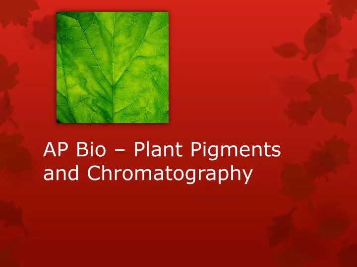ap bio plant pigments and chromatography