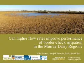 Can higher flow rates improve performance of border-check irrigation in the Murray Dairy Region?