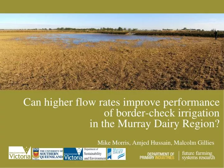 can higher flow rates improve performance of border check irrigation in the murray dairy region
