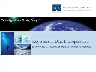 Key issues in Data Interoperability